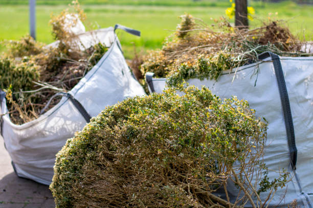 Best Junk Removal Near Me  in Great Bend, NY