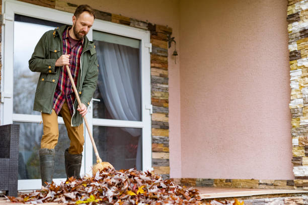 Best Junk Removal Near Me  in Great Bend, NY